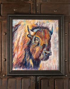 Bison Bull Framed Print
